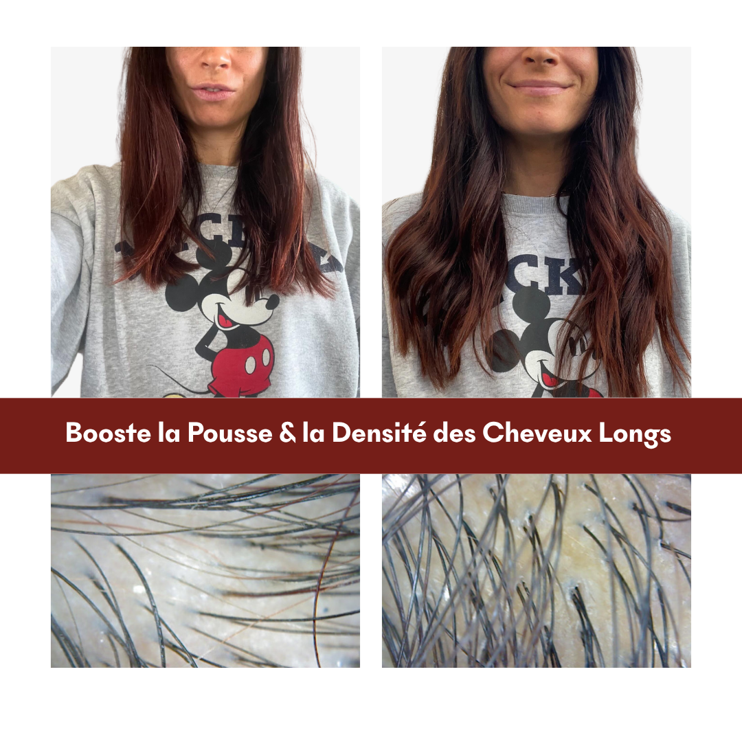 Protocole Cheveux Longs & Denses