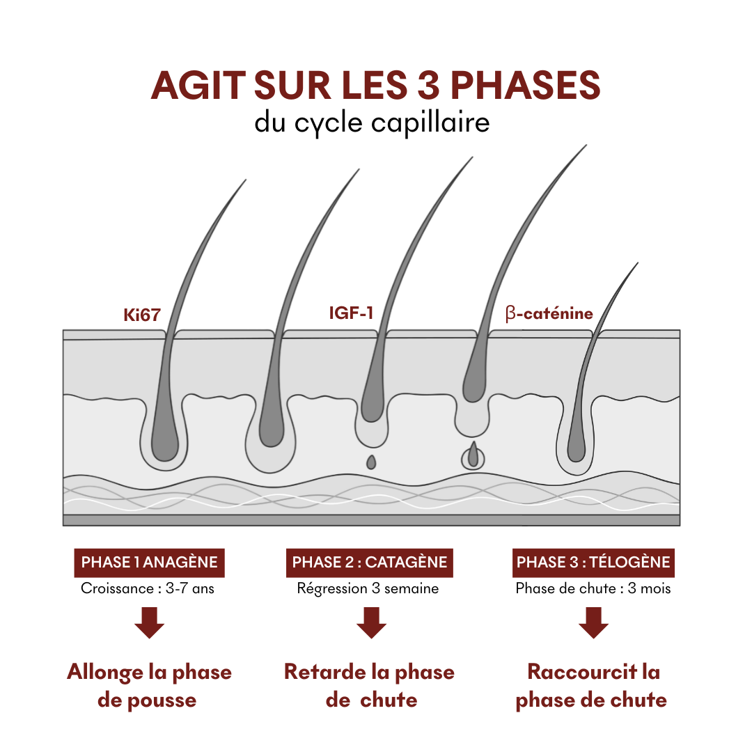 Sérum Anti-Chute Tricho-Boost