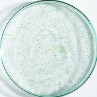 Gommage Actif Anti-Pelliculaire