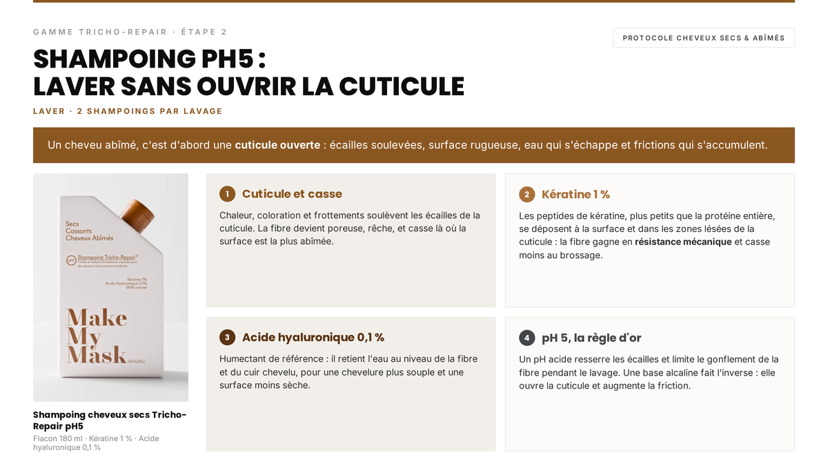 Avis